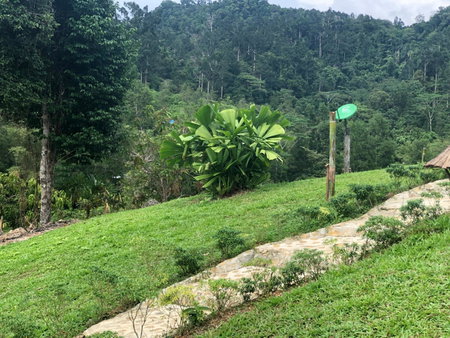Backpacker's Hill Resort, San Vicente, Philippines