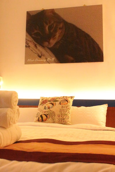 Wish-Dream Bed & Breakfast, Donggang, 台湾