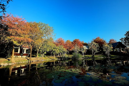 Green Forest Villa, Yilan, Taiwán