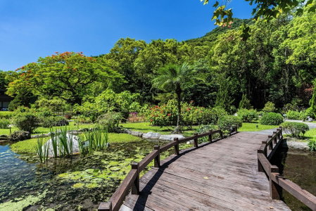 Butterfly Valley Resort, Ruisui, 台湾