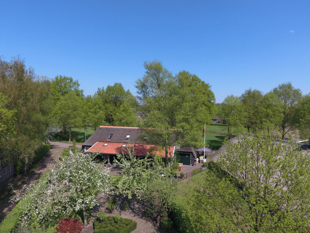 Rheezerstee, Pays-Bas