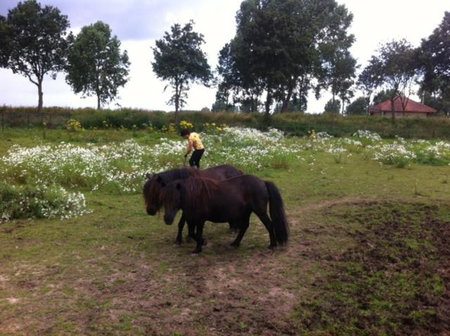 Chalet or Apartment nearby Roermond Outlet, Stevensweert, Niederlande