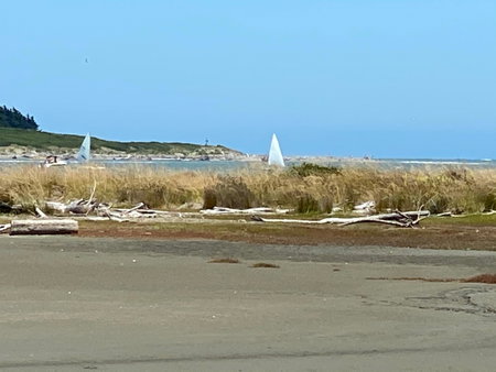 Nikau’s on Palmer, Foxton Beach, Nueva Zelanda
