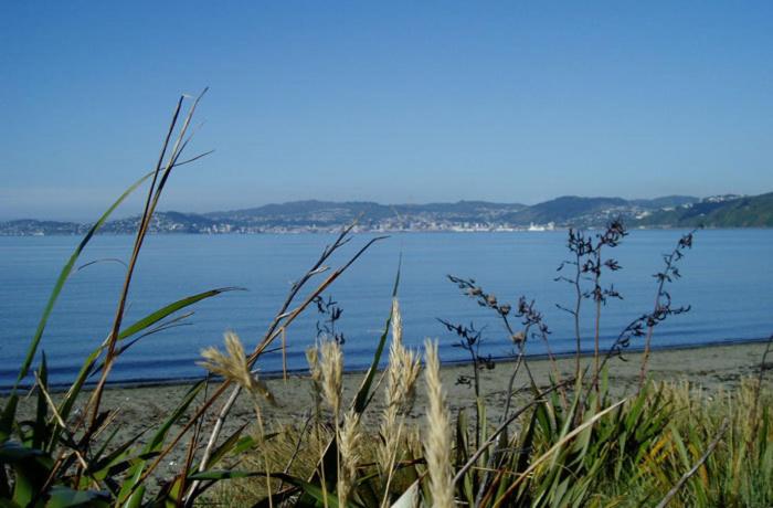 83 By The Sea Motor Lodge, Lower Hutt, Новая Зеландия