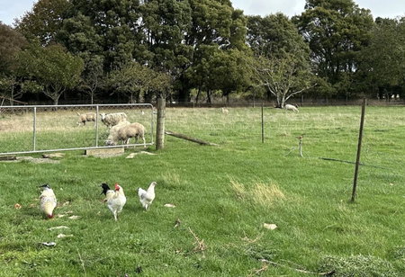 Country Retreats on Ranzau 1, Hope, New Zealand