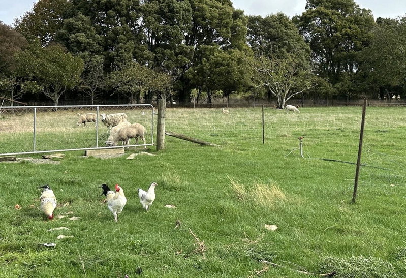 Country Retreats on Ranzau 1, Hope, New Zealand