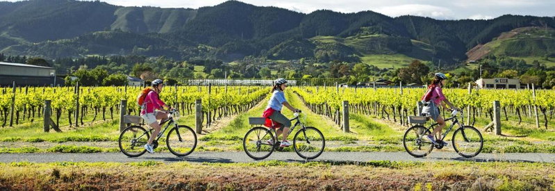 Country Retreats on Ranzau 1, Hope, New Zealand