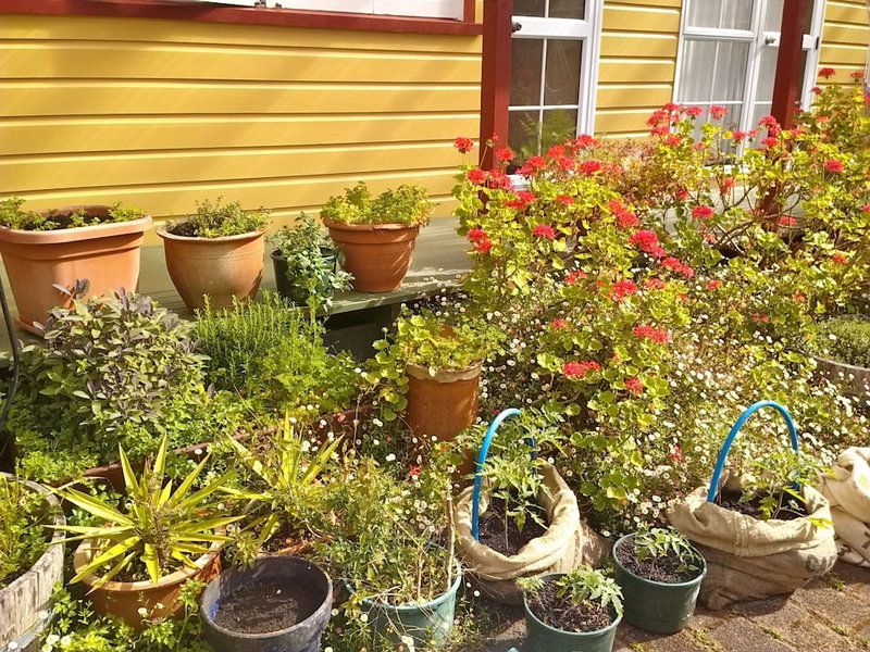 Bazil's Hostel & Surf School, Westport, New Zealand