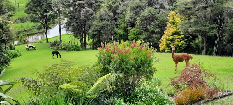 Riverside Homestead, Paihia, Neuseeland