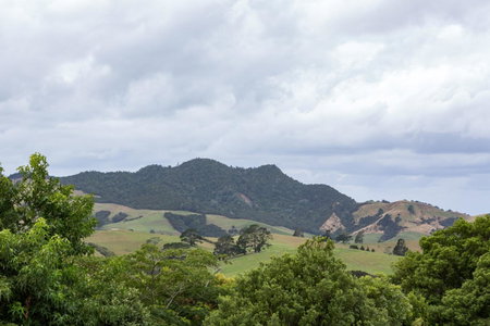 Ocean View B&B, Whitianga, New Zealand