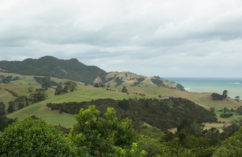 Ocean View B&B, Whitianga, New Zealand