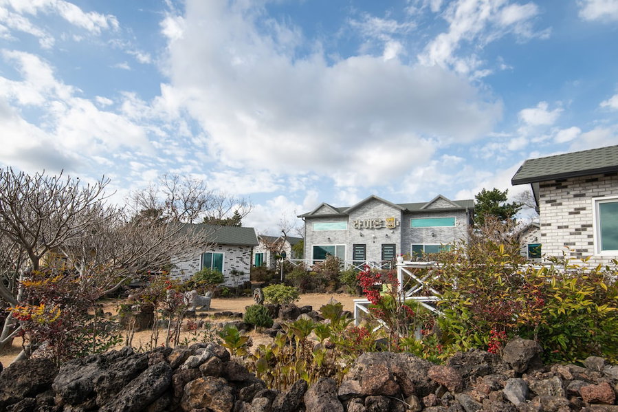 Lionhill Pension, Seogwipo, 대한민국