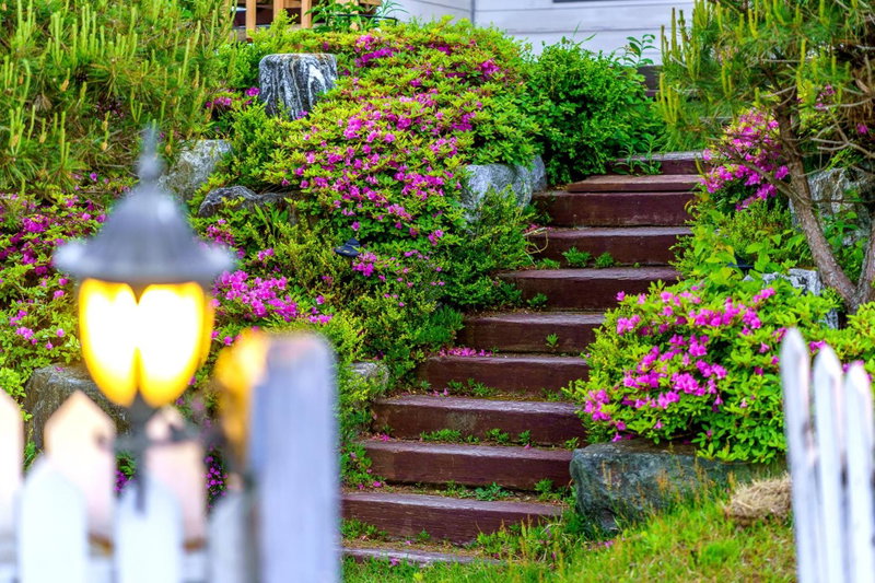 Pungcha & Herb Pension, Pyeongchang, 대한민국