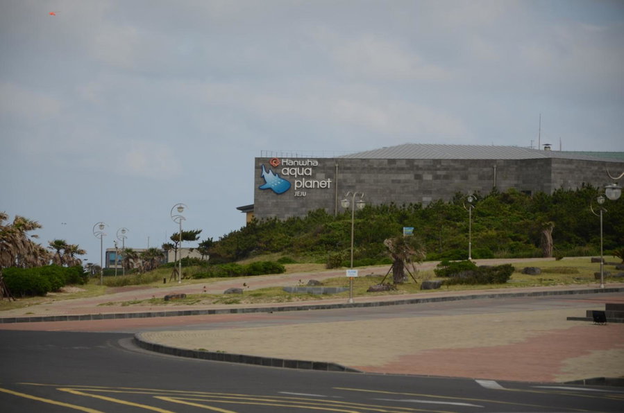 Jeju Stay in Sungsan, Seogwipo, 대한민국