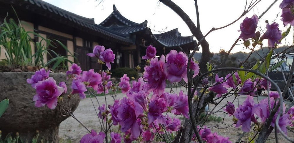 Hotel · Manhoe Gotaek, Bonghwa