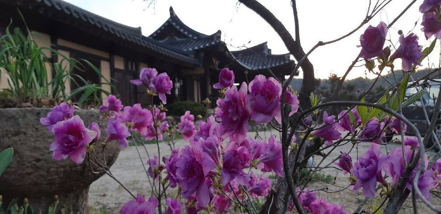 Manhoe Gotaek, Bonghwa, South Korea