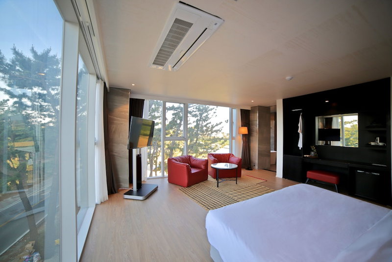 Hound The Blue, Gangneung, 대한민국