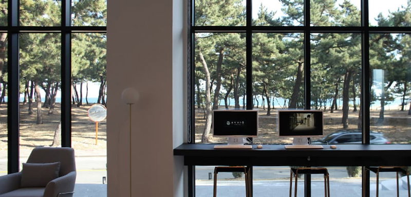 Hound The Blue, Gangneung, 대한민국