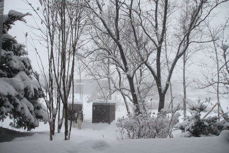 Motif No.1 Guest House, Paju, South Korea
