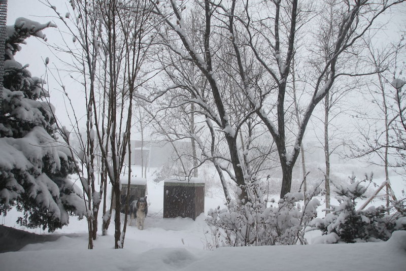 Motif No.1 Guest House, Paju, South Korea