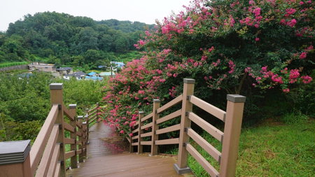 Wansangolgh Guest House, Jeonju, 대한민국