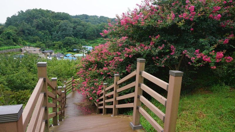 Wansangolgh Guest House, Jeonju, 대한민국