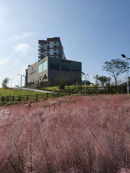 Sunvalley Resort Goheung, Goheung, South Korea