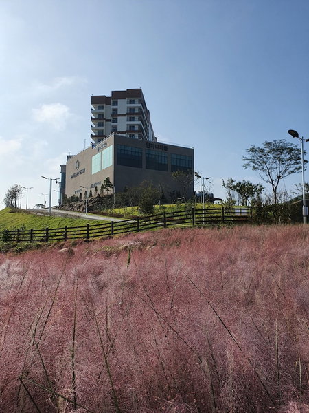 Sunvalley Resort Goheung, Goheung, South Korea