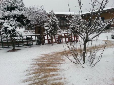 Guesthouse Nabiya, Chuncheon, Südkorea