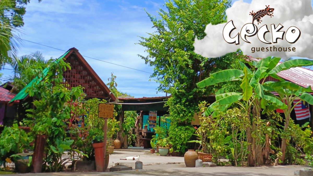 Gecko Guesthouse, Malaysia