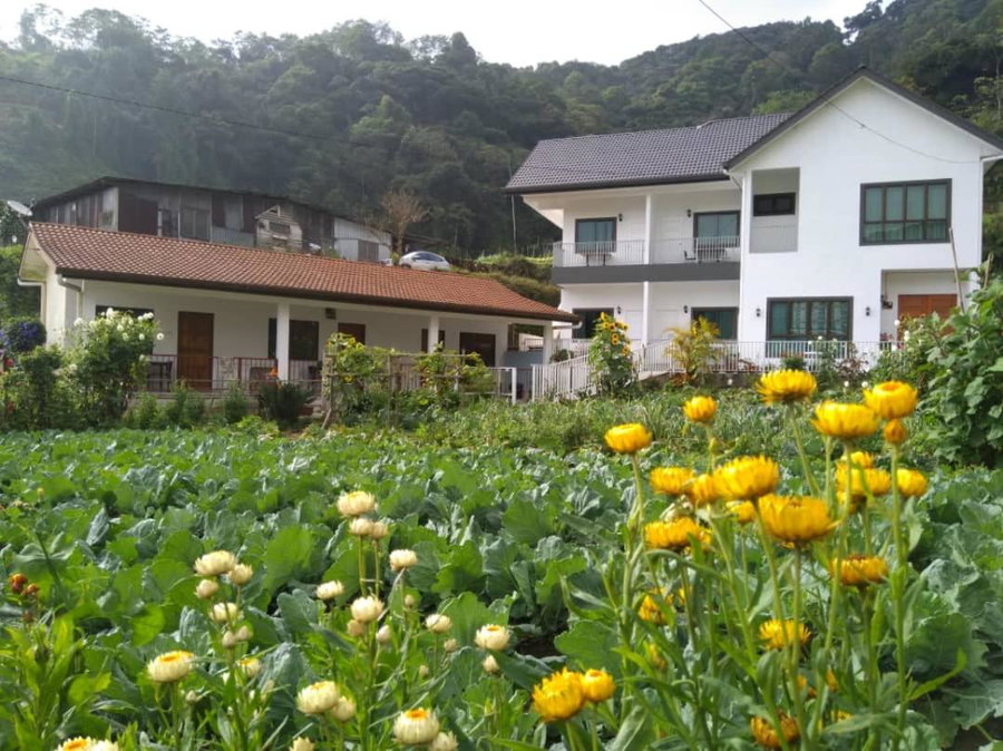 Ng Family’s Farm Stay, Cameron Highlands, Malaysia