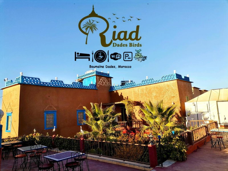 Riad Dades Birds, Boumalne, Maroc