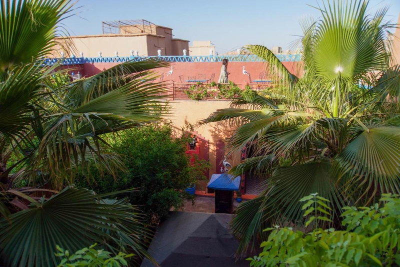 Riad Dades Birds, Boumalne, Maroc