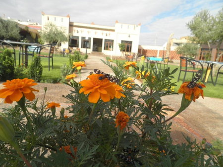 IGHIZ INN resort, Er Rachidia, Марокко