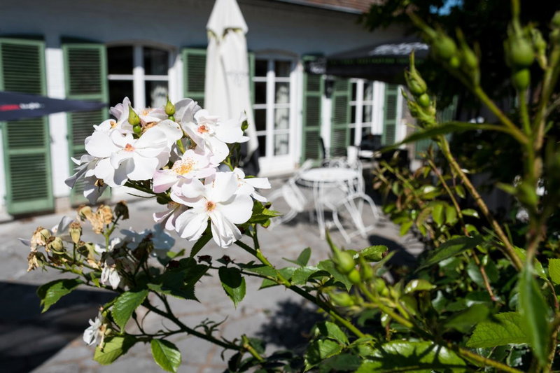 B&B El Tyu, Braine-le-Comte, Belgium