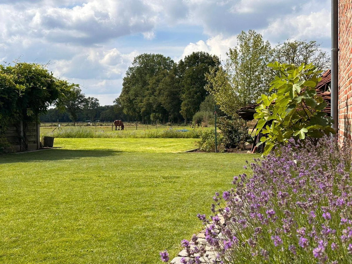 Hotel · B&B Droomzoet, Herentals