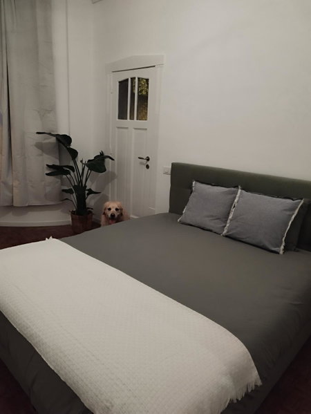 2Bangkok residence, Ghent, Belgique