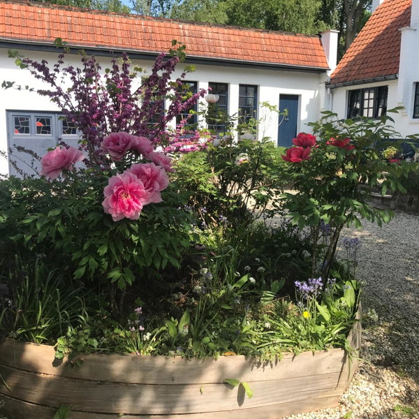 Ros & Marc Boutique Accommodation, Wezembeek-Oppem, Belgique