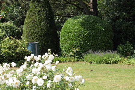 B&B L'Orangerie, Waterloo, Belgique
