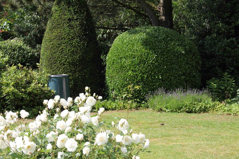 B&B L'Orangerie, Waterloo, Belgique