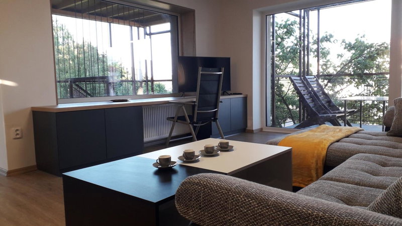 Vila Věkoše - apartmán s terasou a zahradou, Hradec Králové, Чехия