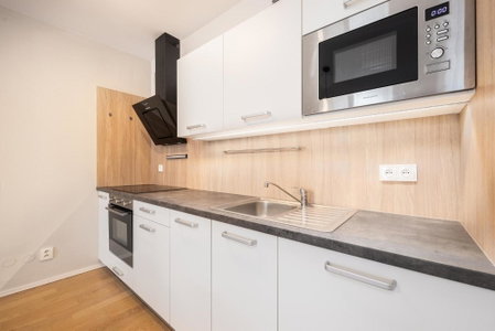 Mill Apartments, Brno, Czechia