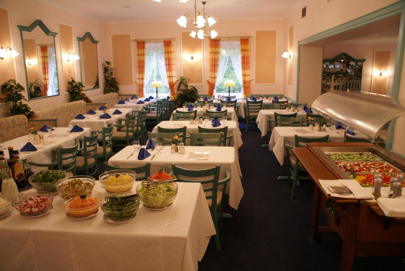 Spa & Wellness Hotel Harmonie, Sokolov, Czechia