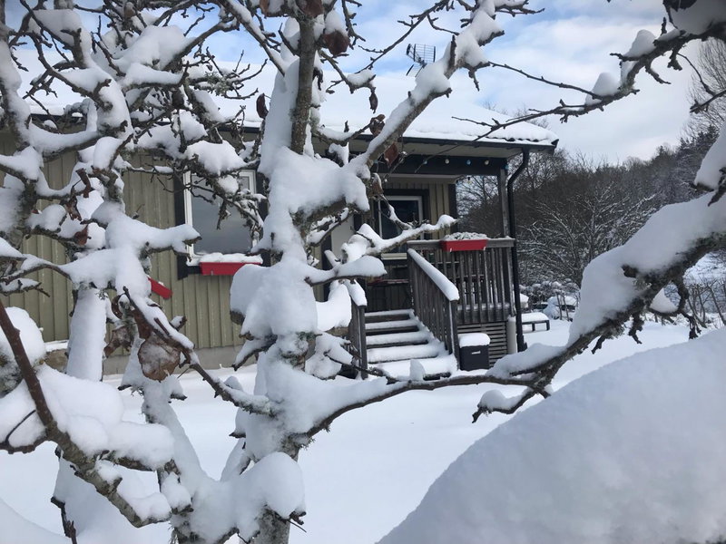Haere Mai B&B Orust, Uddevalla, Sweden