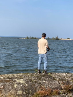 Strandnära Stuga Vänersnäs, Vargön, Suède