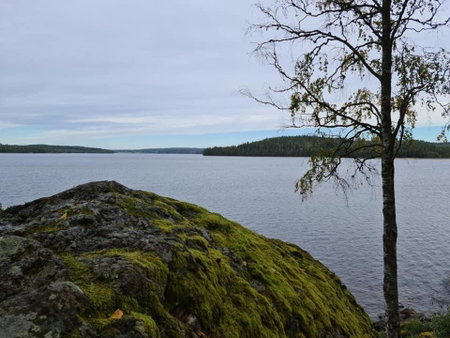 Strandnära Stuga Vänersnäs, Vargön, Suède