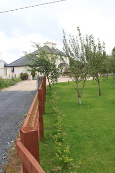 Harry's House, Ballinrobe, Irlande
