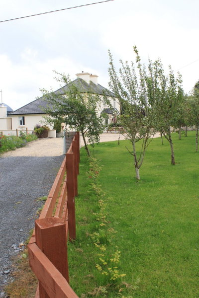 Harry's House, Ballinrobe, Irlande