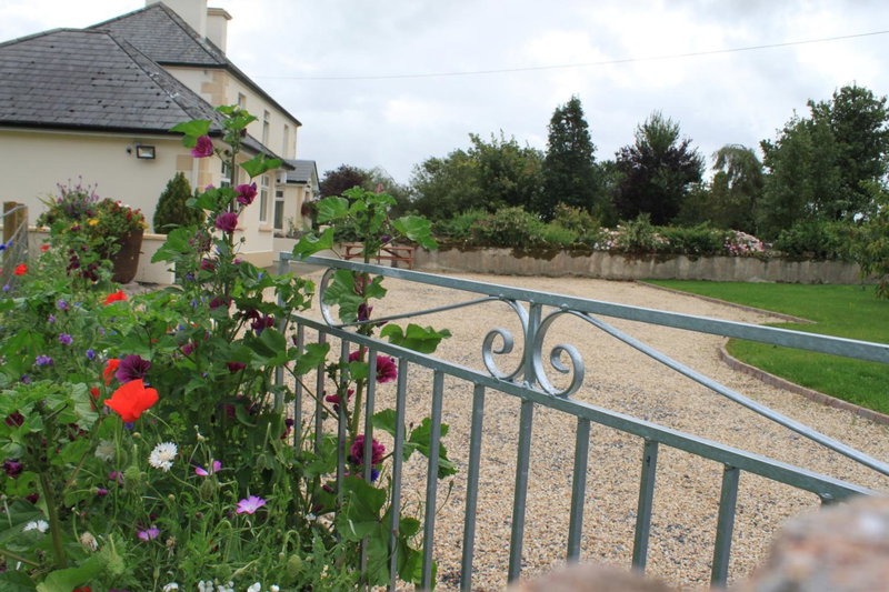 Harry's House, Ballinrobe, Irlande