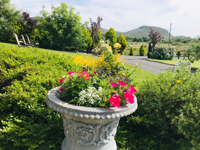 Hillcrest farmhouse Bed & Breakfast, Boyhollagh, Ирландия